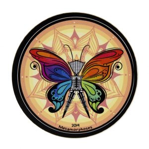 Metamorphoses Butterfly