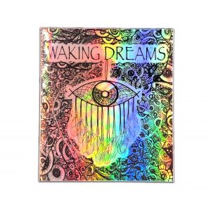 Waking Dreams Catcher 1
