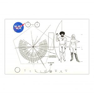 Space Shit, Camp Walkover