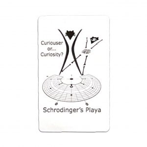 Schrodinger's Playa, Lady Bee Collection Late 2024- Lady Bee collection Christine Kristen TEMP