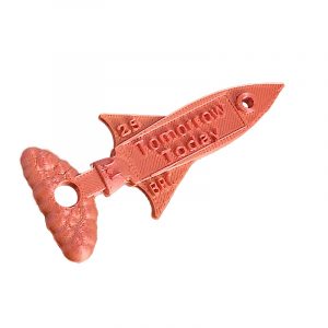 Rocket to Tomorrow Today