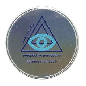 Perspective Perception