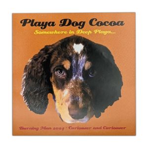 Playa Dog Cocoa