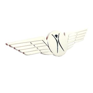 Burner Pilot Wings